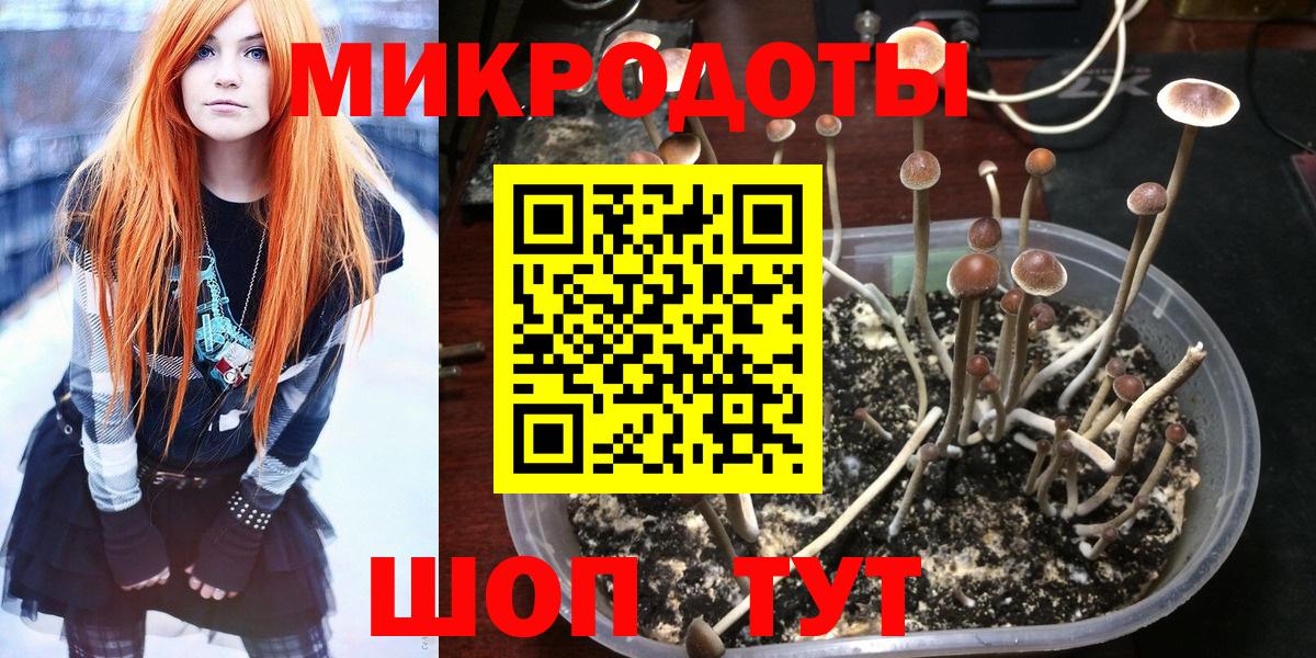 Людиново  Псилоцибиновые грибы MAGIC MUSHROOMS  Вход с VPN  Псилоцибиновые грибы прущие грибы 